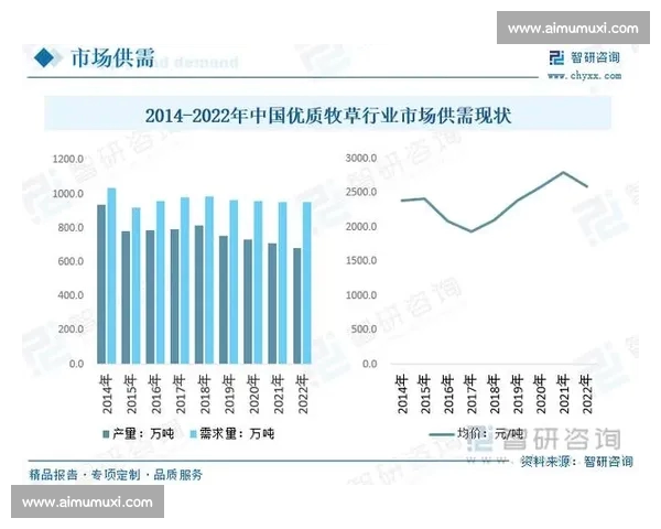 深入解析体育比赛数据背后的趋势与策略优化方法